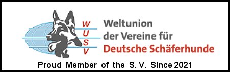Baumwolle German Shepherds is a member of the SV and has GSD Pups available in Central Missouri Tulsa Kansas City Springfield